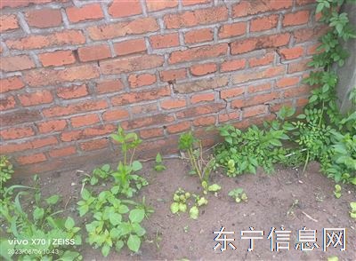 平房出售，出租