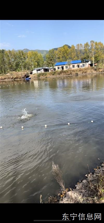 魚塘農家樂垂釣園三農直播基地對外承包或談合作