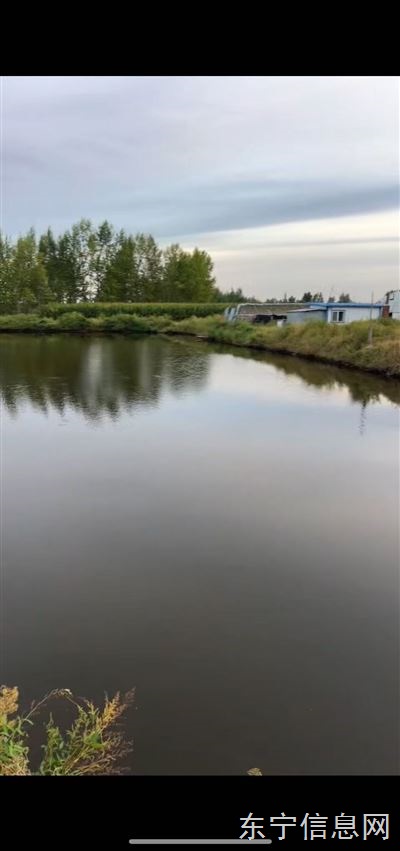 魚塘農家樂垂釣園三農直播基地對外承包或談合作