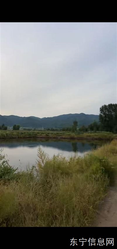 魚塘農家樂垂釣園三農直播基地對外承包或談合作