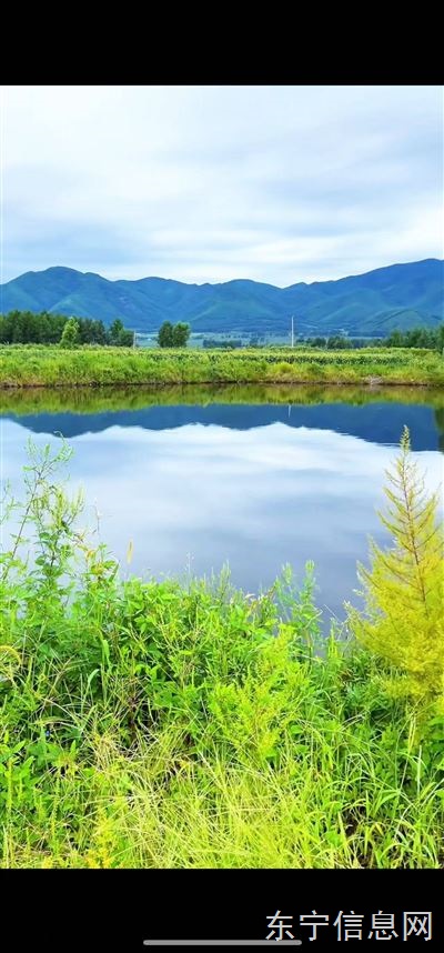 魚塘農(nóng)家樂垂釣園三農(nóng)直播基地對外承包或談合作